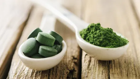 Chlorella: na co?