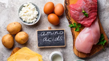 Aminokwasy: wszystko, co musisz o nich wiedzieć
